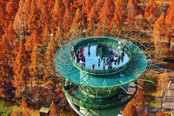 _Descubre_los_Coloridos_Bosques_de_Metasecuoyas_de_Jiangsu_