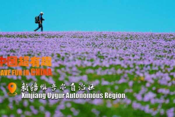 Descubre los Espectaculares Paisajes de Kalajun: Un Maravilloso Paraíso Floreciente en Xinjiang 🌸 Descubre_los_Espectaculares_Paisajes_de_Kalajun__Un_Maravilloso_Parai_so_Floreciente_en_Xinjiang__ video poster
