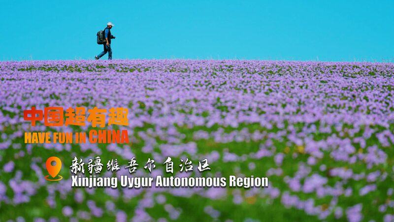 Descubre_los_Espectaculares_Paisajes_de_Kalajun__Un_Maravilloso_Parai_so_Floreciente_en_Xinjiang__ video poster