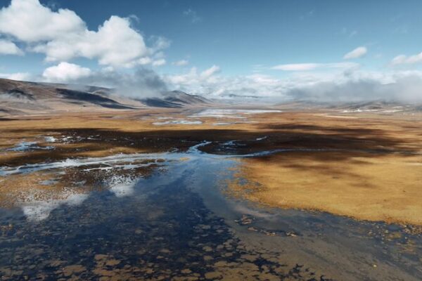 Descubre los humedales de Longbaotan: el paraíso de gran altitud del Tíbet Descubre_los_humedales_de_Longbaotan__el_parai_so_de_gran_altitud_del_Ti_bet video poster