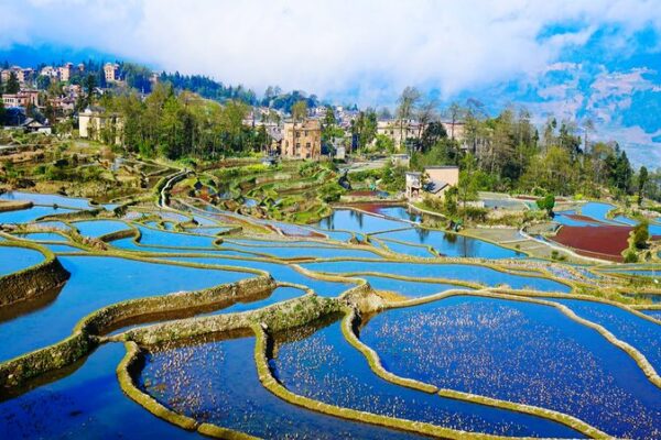 Descubre los mágicos colores de los arrozales en terrazas de Honghe Hani en China 🌾✨ Descubre_los_ma_gicos_colores_de_los_arrozales_en_terrazas_de_Honghe_Hani_en_China___