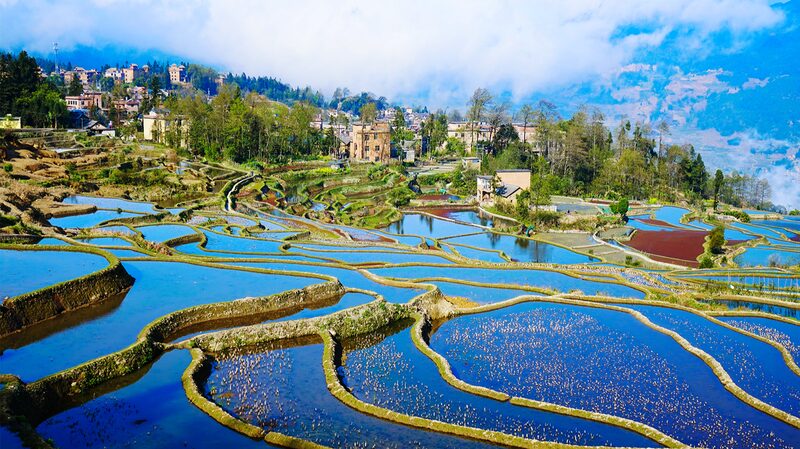 Descubre_los_ma_gicos_colores_de_los_arrozales_en_terrazas_de_Honghe_Hani_en_China___