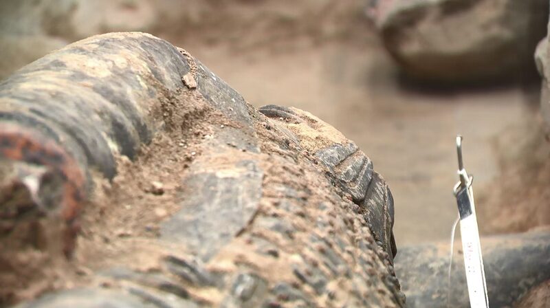 Descubren_secretos_del_eje_rcito_de_carros_Qin_en_los_Guerreros_de_Terracota___