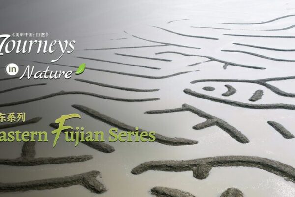 Descubriendo Xiapu: Los Tesoros Ocultos del Mar en el Este de Fujian Descubriendo_Xiapu__Los_Tesoros_Ocultos_del_Mar_en_el_Este_de_Fujian video poster