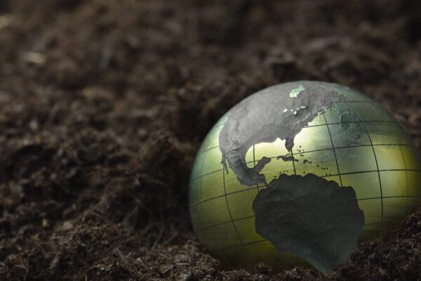 Descubrimiento Sorprendente: Tesoro Oculto de Carbono en el Suelo Revelado 🌍✨ Descubrimiento_Sorprendente__Tesoro_Oculto_de_Carbono_en_el_Suelo_Revelado___