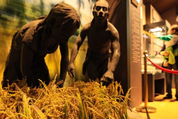 Descubrimiento de Arroz Antiguo: Científicos Chinos Usan Escáneres CT para Revelar Granos de 10,000 Años 🌾🔍 Descubrimiento_de_Arroz_Antiguo__Cienti_ficos_Chinos_Usan_Esca_neres_CT_para_Revelar_Granos_de_10_000_An_os___