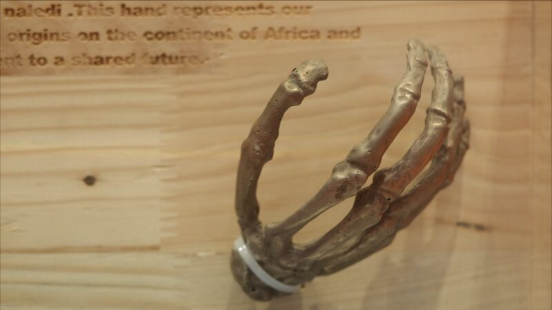 Desde_la_Cuna_de_la_Humanidad__Un_regalo_fo_sil_sella_la_amistad_entre_Suda_frica_y_China video poster