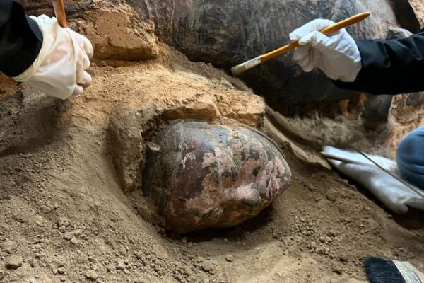 Desenterrando Leyendas: 50 Años de los Guerreros de Terracota de China 🎉 Desenterrando_Leyendas__50_An_os_de_los_Guerreros_de_Terracota_de_China__