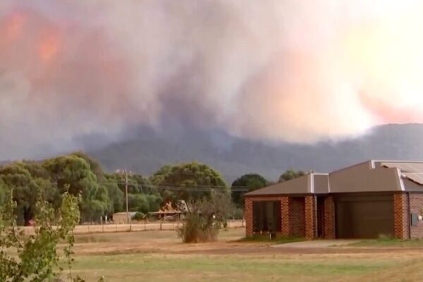 _Desesperada_evacuacio_n_en_Victoria_por_incendios_forestales___