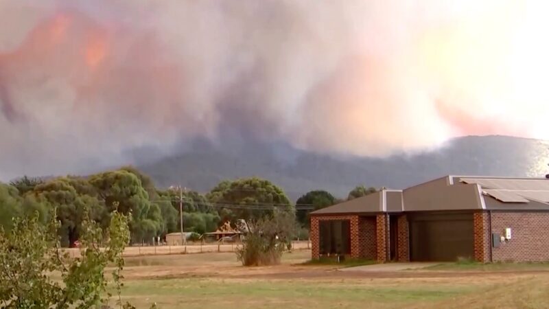 _Desesperada_evacuacio_n_en_Victoria_por_incendios_forestales___