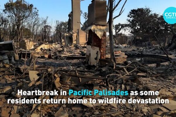 Desgarradora_noticia_en_Pacific_Palisades__Residentes_regresan_a_la_devastacio_n_de_los_incendios_forestales video poster