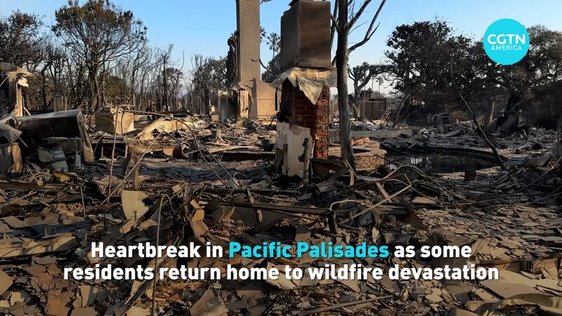 Desgarradora_noticia_en_Pacific_Palisades__Residentes_regresan_a_la_devastacio_n_de_los_incendios_forestales video poster
