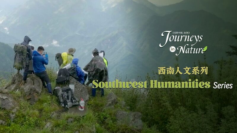 _Detectara_n_un_Panda__Aventureros_Recorren_45km_en_la_Selva_de_Sichuan video poster