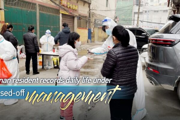 Detrás de Puertas Cerradas: La Vida Bajo Cuarentena en Henan Detra_s_de_Puertas_Cerradas__La_Vida_Bajo_Cuarentena_en_Henan video poster