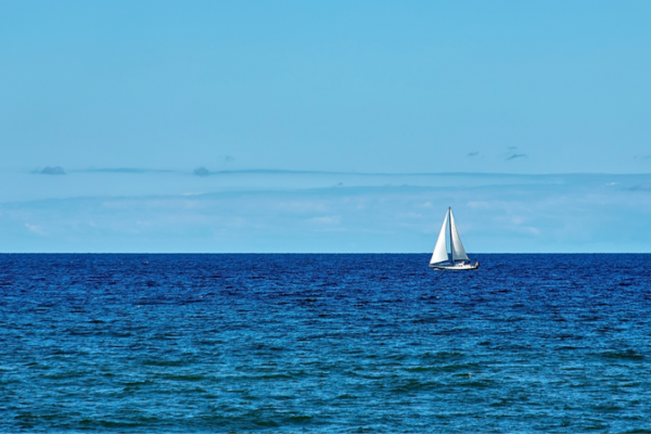 Devolviendo_la_vida_al_mar_Ba_ltico__un_experimento_revolucionario___