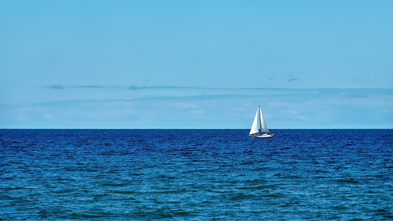 Devolviendo_la_vida_al_mar_Ba_ltico__un_experimento_revolucionario___