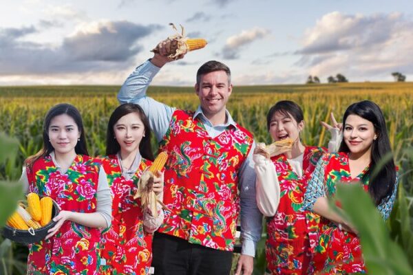 Devorando Delicias de Maíz en los Campos Dorados de China 🌽✨ Devorando_Delicias_de_Mai_z_en_los_Campos_Dorados_de_China___ video poster