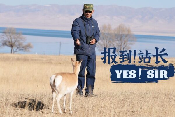 Di_a_Mundial_de_los_Guardaparques_2024__Celebrando_a_los_Guardianes_de_la_Naturaleza__ video poster