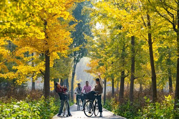Distrito Chaoyang: El Oasis Urbano de Pekín 🌿🏙️ Distrito_Chaoyang__El_Oasis_Urbano_de_Peki_n____