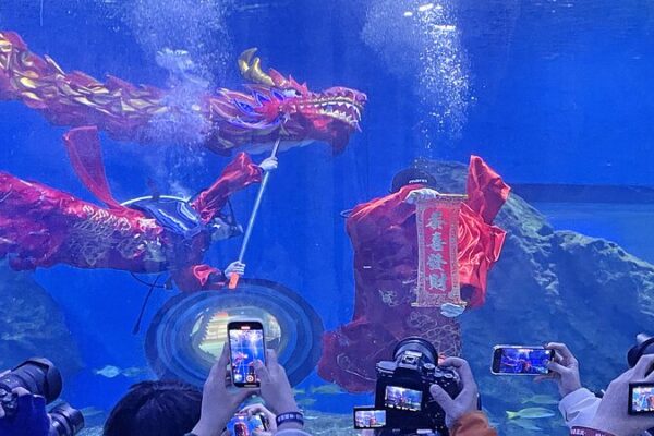 Dragones Buceadores: El Espectáculo Submarino de Wuhan Causa Sensación 🌊🐉 Dragones_Buceadores__El_Especta_culo_Submarino_de_Wuhan_Causa_Sensacio_n___