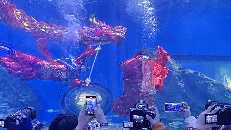 Dragones_Buceadores__El_Especta_culo_Submarino_de_Wuhan_Causa_Sensacio_n___