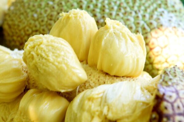 ¡Dulces sorpresas en Hainan: La temporada de cosecha del fruto cempedak está aquí! 🍈🌴 _Dulces_sorpresas_en_Hainan__La_temporada_de_cosecha_del_fruto_cempedak_esta__aqui_____