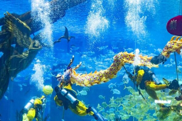 El_Baile_del_Drago_n_Subacua_tico_Deslumbra_en_el_Acuario_de_Chongqing___