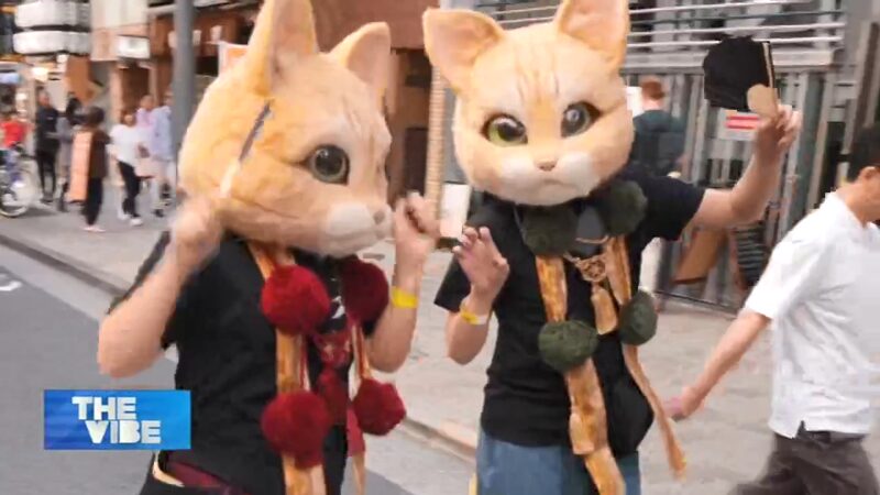 El_Desfile_de_Bakeneko_de_Japo_n___El_Festival_Felino_de_Tokio_Gana_Fama___ video poster