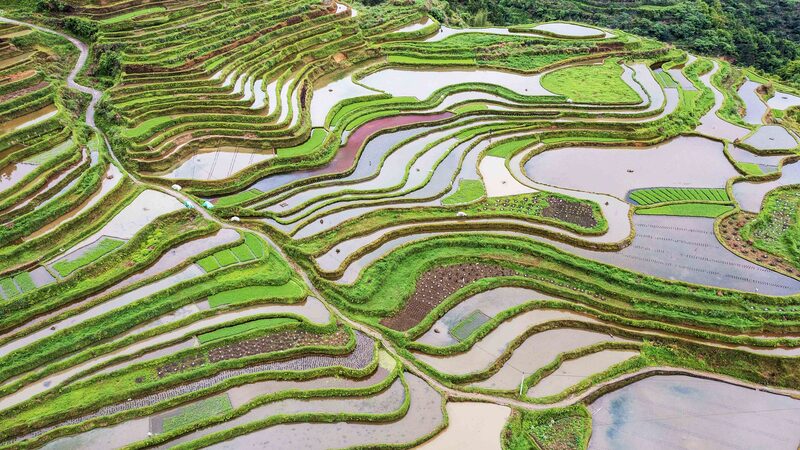 El_Di_a_Nacional_de_la_Tierra_en_China__Un_compromiso_por_defender_el_suelo__