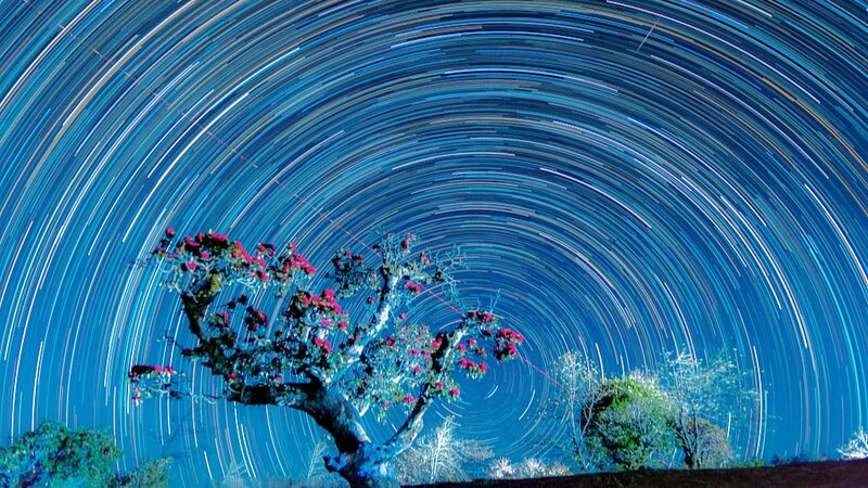 El_Especta_culo_Roma_ntico_de_la_Naturaleza__Azaleas_y_Estelas_Estelares_Iluminan_el_Pueblo_de_Shizhu_en_Yunnan