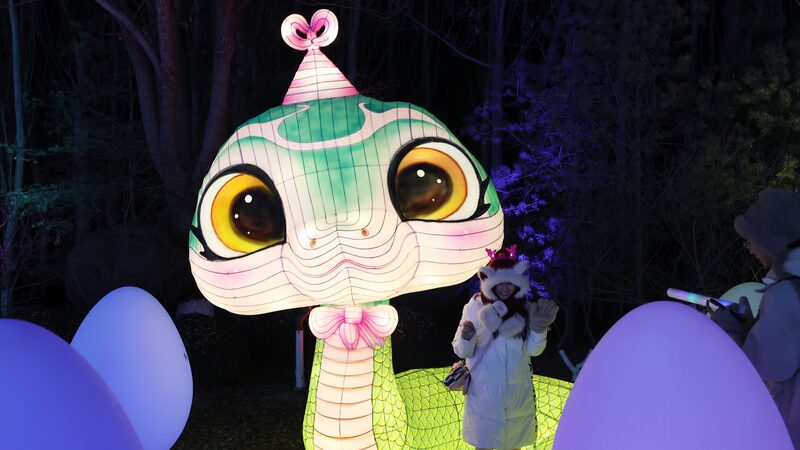 _El_Festival_de_Linternas_de_Yinchuan_ilumina_el_An_o_de_la_Serpiente_2025_