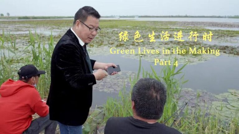 _El_Impresionante_Renacimiento_del_Lago_Baiyangdian__La_Naturaleza_Brilla_de_Nuevo____ video poster