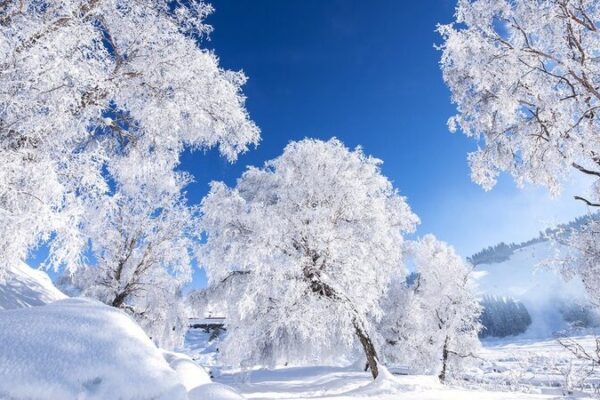 El_Invierno_Encantado_de_China_Llega_con_Nieve_Intensa
