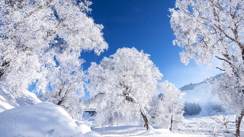 El_Invierno_Encantado_de_China_Llega_con_Nieve_Intensa
