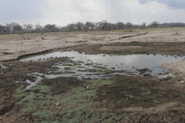 El Niño golpea fuerte: el desastre de sequía en Malawi y una región en necesidad 😔 El_Nin_o_golpea_fuerte__el_desastre_de_sequi_a_en_Malawi_y_una_regio_n_en_necesidad__