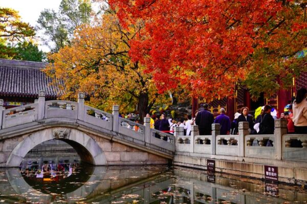El Parque Xiangshan de Pekín: Los arces se vuelven rojos en el esplendor otoñal El_Parque_Xiangshan_de_Peki_n__Los_arces_se_vuelven_rojos_en_el_esplendor_oton_al
