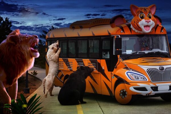 El_Parque_de_Animales_Salvajes_de_Shangha_i_Inaugura_un_Ma_gico_Safari_Nocturno___ video poster