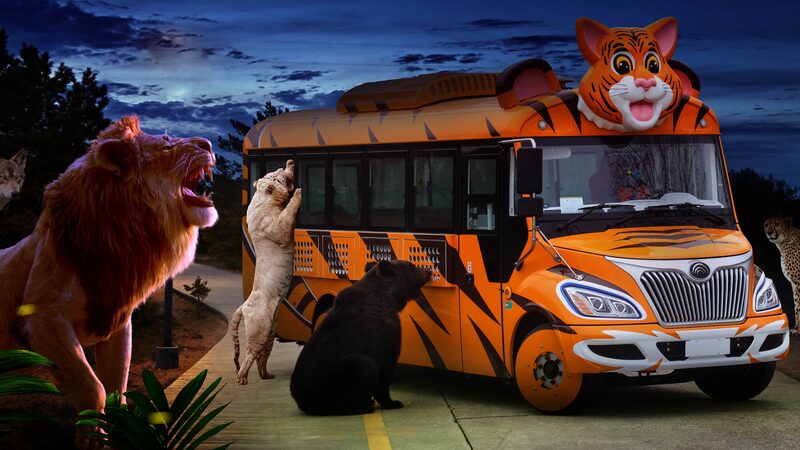 El_Parque_de_Animales_Salvajes_de_Shangha_i_Inaugura_un_Ma_gico_Safari_Nocturno___ video poster