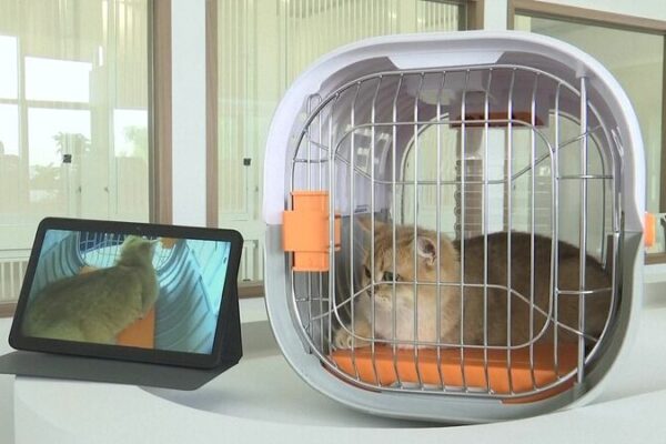 El Primer Salón para Mascotas de China Despega en el Aeropuerto de Shenzhen 🐶✈️ El_Primer_Salo_n_para_Mascotas_de_China_Despega_en_el_Aeropuerto_de_Shenzhen____