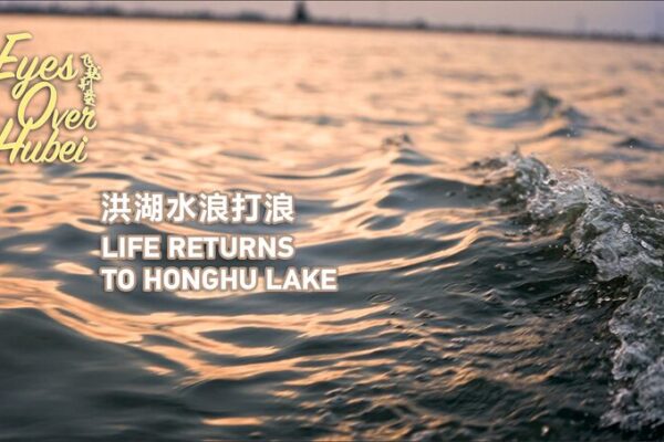 El Regreso de la Naturaleza: El Lago Honghu Brilla de Nuevo en Hubei 🌟 El_Regreso_de_la_Naturaleza__El_Lago_Honghu_Brilla_de_Nuevo_en_Hubei__ video poster