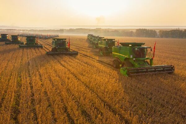 El Rey de la Soya en China: Cómo Li Fuqiang está revolucionando la agricultura 🌱 El_Rey_de_la_Soya_en_China__Co_mo_Li_Fuqiang_esta__revolucionando_la_agricultura__