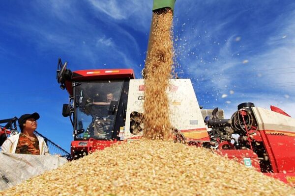 El_Seguro_Agri_cola_de_China__El_Escudo_de_los_Agricultores_Contra_los_Caprichos_de_la_Naturaleza___