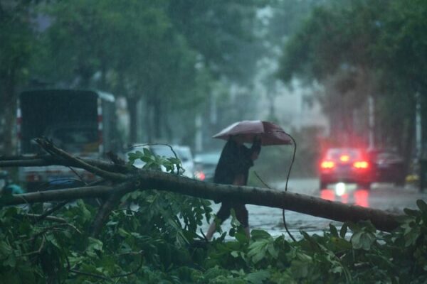 El Súper Tifón Yagi Vuelve a Golpear: Más de 1 Millón Evacuados en Guangdong 🌪️ El_Su_per_Tifo_n_Yagi_Vuelve_a_Golpear__Ma_s_de_1_Millo_n_Evacuados_en_Guangdong___