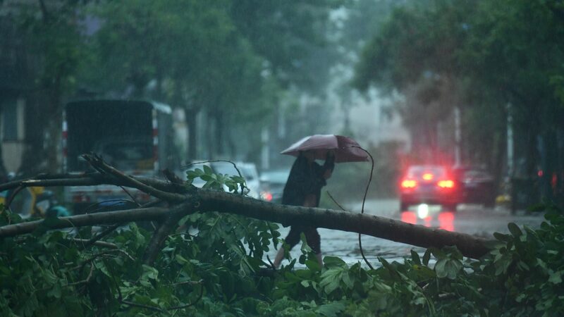 El_Su_per_Tifo_n_Yagi_Vuelve_a_Golpear__Ma_s_de_1_Millo_n_Evacuados_en_Guangdong___