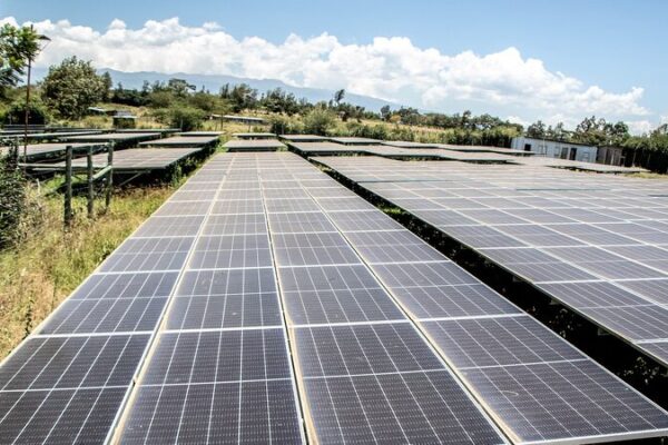 El_Valiente_Movimiento_de_Kenia__Estableciendo_un_Mercado_de_Carbono_para_un_Futuro_ma_s_Verde__