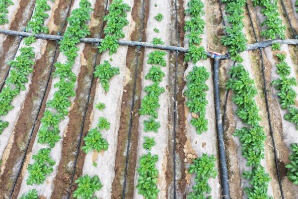 💧 El ambicioso salto de China en el ahorro de agua: ¡Meta de un billón de yuanes para 2027! __El_ambicioso_salto_de_China_en_el_ahorro_de_agua___Meta_de_un_billo_n_de_yuanes_para_2027_