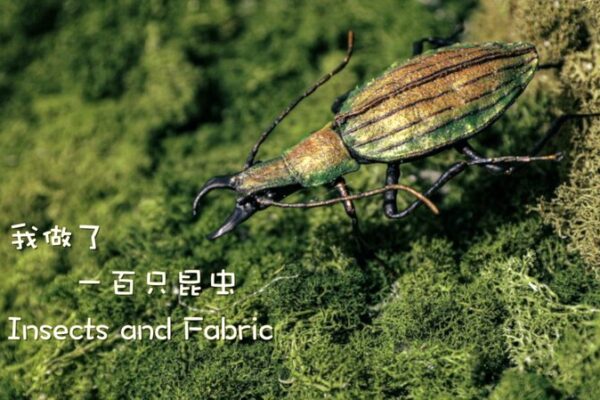 El artista Lin Rongsheng crea insectos realistas de tela 🦋✨ El_artista_Lin_Rongsheng_crea_insectos_realistas_de_tela___ video poster