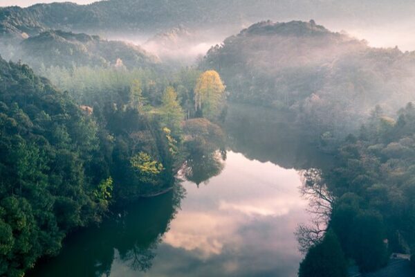 El audaz plan de China para restaurar el 30% de sus ecosistemas degradados para 2030 🌿 El_audaz_plan_de_China_para_restaurar_el_30__de_sus_ecosistemas_degradados_para_2030__