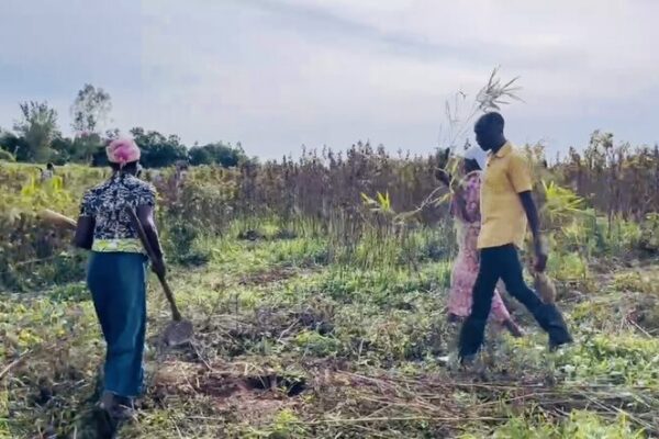 __El_bambu__revoluciona_la_restauracio_n_del_ecosistema_en_la_cuenca_del_ri_o_Nzoia_en_Kenia