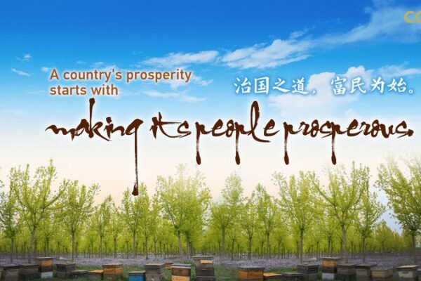 El_camino_de_China_hacia_la_prosperidad_comu_n__el_zumbido_de_los_apicultores_de_Miyun video poster